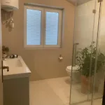Dachgeschoss-apartment 