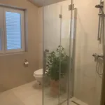 Dachgeschoss-apartment 